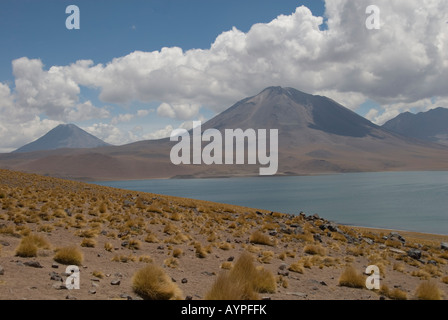 Atacama-Wüste Chiles Stockfoto