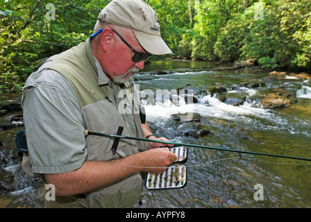 Fliegenfischen Sie im nördlichen Georgia, USA Stockfoto