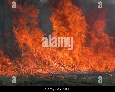 Prairie brennen gesteuert Stockfoto