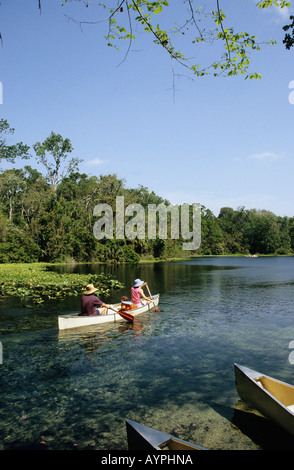 Kanuten auf Wekiwa Fluss Wekiwa Springs State Park Stockfoto