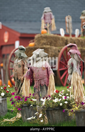 Vogelscheuchen Kürbisse Blumen, Heu und Wagen auf dem Display an Straßenrand Produkte Hofladen in der Nähe von Presque Isle Maine Stockfoto