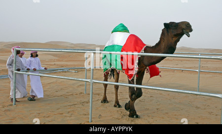 Drei junge Männer mit einer Flagge der Vereinigten Arabischen Emirate beim Kamelfest Mazayin Dhafra (Al Dhafra) in der Wüste bei Madinat Zayed, Abu Dhabi, VAE. Stockfoto