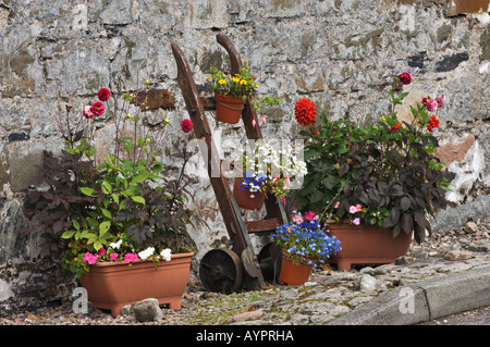 Bunten Topfblumen und Dolly entlang der Mauer des alten Stone Cottage Glencoe Village Schottland Stockfoto