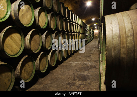 Weinfässer in einem Weinkeller in La Rioja, Spanien Stockfoto