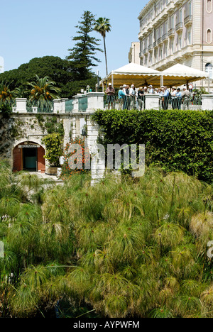 Fonte Aretusa Süßwasserquelle bewachsen mit Papyrus, Syrakus, Sizilien, Italien Stockfoto