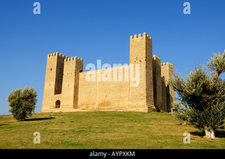 13. Jahrhundert Deutsch-gotischen Burg, Sábada, Zaragoza Provinz, Aragón, Spanien, Europa Stockfoto