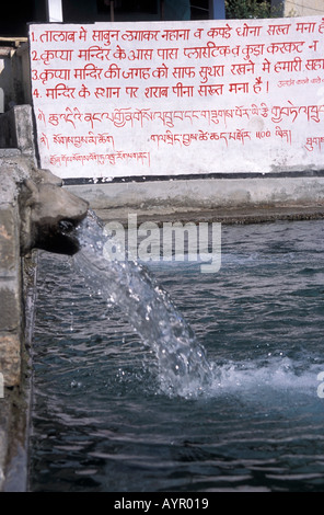 Wasser, das aus einem geschnitzten Rohr in einen Pool mit indischem Hindi-Schriftzug an der Wand im Hintergrund fließt. Stockfoto