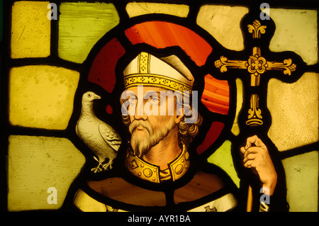 Buntglasfenster von St. David Schutzpatron von Wales in Castell Coch, Cardiff. Zeigt den heiligen mit Taube und Kreuz. Stockfoto