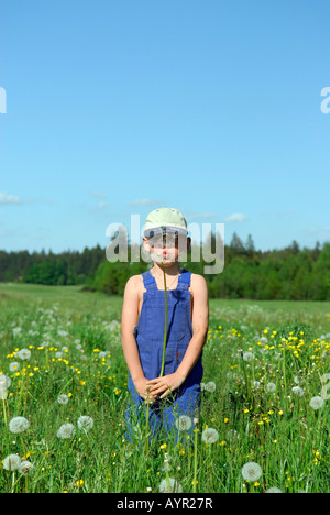 Junge stand auf einer Wiese mit Löwenzahn (Taraxacum Officinale) Stockfoto