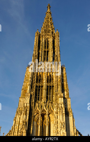 Kathedrale von Ulm, Ulm, Baden-Württemberg, Deutschland Stockfoto