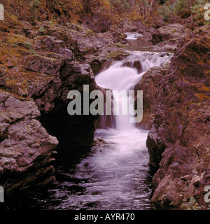 Little Qualicum River und fällt, Little Qualicum Falls Provincial Park, Vancouver Island, BC, Britisch-Kolumbien, Kanada Stockfoto