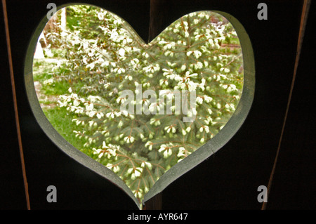 Blick auf das Herz von der altmodischen Toilette aus mit Blick auf einen blühenden Baum in einem Garten. Rustikales hölzernes Fenster mit Herzform. Stockfoto