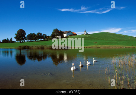 Hegratsrieder See in der Nähe von Halblech, Ost-Allgäu, Bayern, Deutschland, Europa Stockfoto