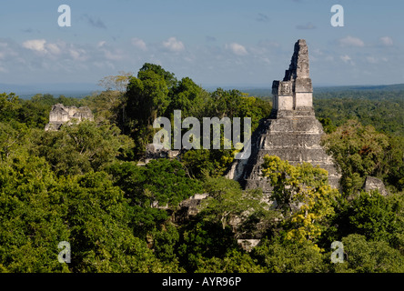Maya-Ruinen von Tikal - Blick vom Tempel III zum Tempel I, Tempel der Riese Jaguar, Yucatan, Guatemala, Mittelamerika Stockfoto