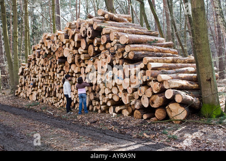 Kinder stehen vor einem großen Haufen von Protokollen, Bäume abgeholzt nach einem Sturm, Hessen, Deutschland Stockfoto