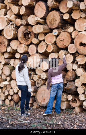 Kinder stehen vor einem großen Haufen von Protokollen, Bäume abgeholzt nach einem Sturm, Hessen, Deutschland Stockfoto