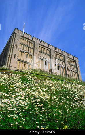 Norwich Schloss oberhalb einer Blume bedeckt Bank Norwich Norfolk England Stockfoto