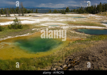 Blick über West Thumb Geyser Basin im Yellowstone-Nationalpark, Yellowstone-Nationalpark, Wyoming, USA Stockfoto