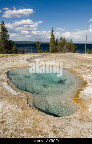 Heiße Quellen in West Thumb Geyser Basin, Yellowstone-Nationalpark, Wyoming, USA Stockfoto