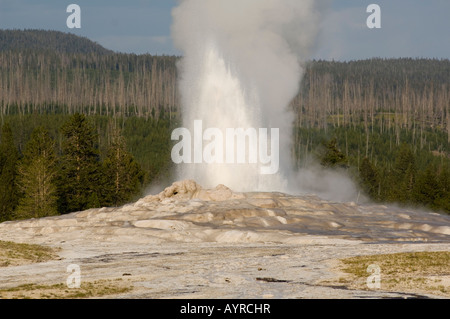 Ausbruch, Old Faithful Geysir in Upper Geyser Basin, Yellowstone-Nationalpark, Wyoming, USA Stockfoto