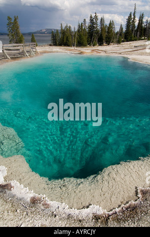 Detail des schwarzen Pools in West Thumb Geyser Basin, Yellowstone-Nationalpark, Wyoming, USA Stockfoto