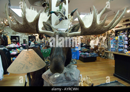 Ausgestopfter Elch in einem Geschäft zusammen mit anderen Kitsch in Jackson, Wyoming, USA Stockfoto