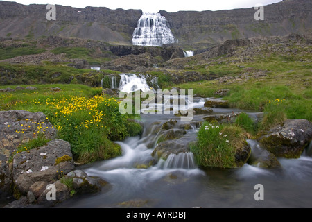 Fjallfoss fällt, Dynjandi, Westfjorde, Island, Nord-Atlantik Stockfoto