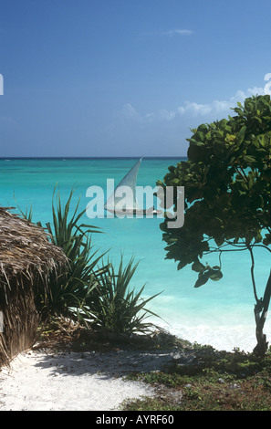 Dhau unter Segeln in der Nähe von Nungwi an der Nordwestküste der Insel Sansibar, Tansania Stockfoto