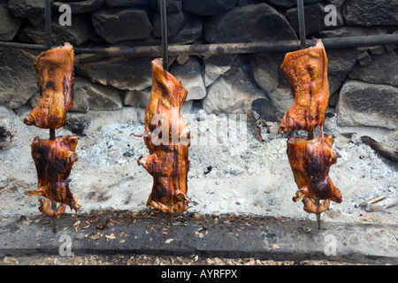 Drei Spanferkel auf Spieße gebraten über dem offenen Feuer, sardische Spezialität, Sardinien, Italien Stockfoto