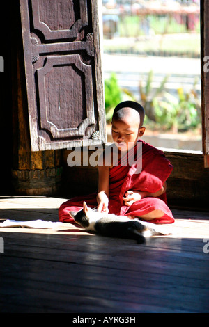 Young-buddhistischer Mönch spielt mit Katze, Birma (Myanmar), Südost-Asien Stockfoto