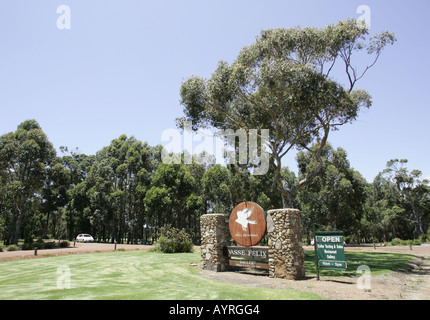 Straße zum Vasse Felix Weinberg in Western Australia. Stockfoto