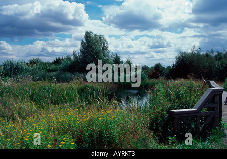 Abschnitt "Wildside" London Wetlands Centre, Barnes, London SW13 Stockfoto