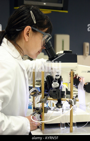 Wissenschaftlerin mit einem Mikroskop Stockfoto