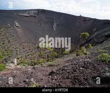 Vulkan San Antonio, Blick in Höhle Krater, Lavagestein, Lavaasche, Pinien Wachsen Auf Lavaasche, Fuencaliente, La Palma, Kanarische Inseln Stockfoto