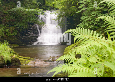 Der Wasserfall auf Hoar Eiche Wasser kurz bevor es fließt in den Osten Lyn River bei Watersmeet in der Nähe von Lynmouth, Exmoor, Devon Stockfoto