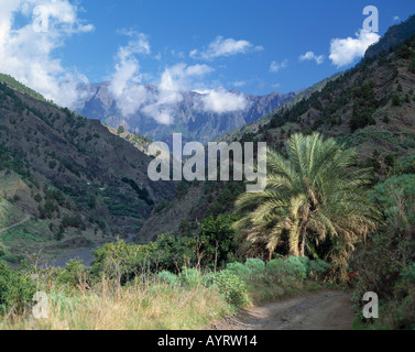 Ausgetrocknetes Flussbett, Flusstal, Berglandschaft, Berghaenge, Palme, Barranco de Las Angustias, La Palma, Kanarische Inseln Stockfoto