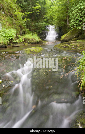 Der Wasserfall auf Hoar Eiche Wasser kurz bevor es fließt in den Osten Lyn River bei Watersmeet in der Nähe von Lynmouth, Exmoor, Devon Stockfoto