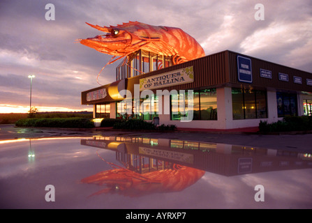 Große Garnelen, die "große Garnelen" in Ballina, NSW, Australien Stockfoto