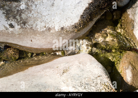 Fluss zwischen zwei Felsen Stockfoto