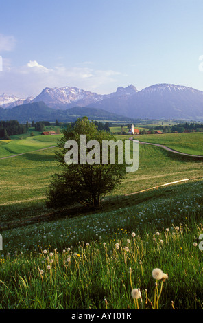 Zell, Brentenjoch, Aggesntein, Breitenberg, Ost-Allgäu, Bayern, Deutschland, Europa Stockfoto