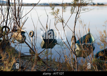 Blick durch einige Äste an eine Reihe von kleinen Fischerbooten auf ruhiger See Stockfoto