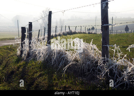 Ein gras Kante mit Permafrost unter einem Stacheldraht zaun eine Rasenfläche in der Dordogne in Frankreich abgedeckt Stockfoto