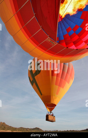 Heißluftballons über Sonoran Wüste Stockfoto
