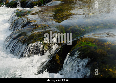 Schnell fließenden Gebirgsbach Rauschen über Algen bedeckten Felsen in der Nähe von Fischbachau, Bayern, Deutschland Stockfoto