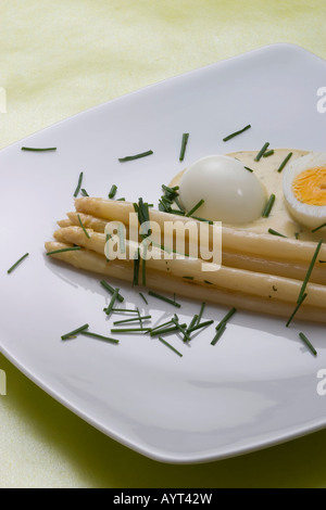 Gekochter weißer Spargel und Ei mit Senfsauce auf einem Teller Stockfoto