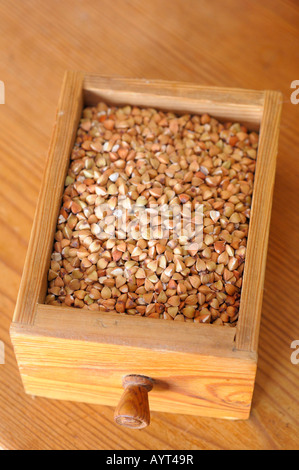 Buchweizen (Fagopyrum) in einer kleinen hölzernen Schublade Stockfoto