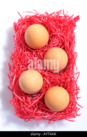 Braunen Eiern platziert auf roten excelsior Stockfoto