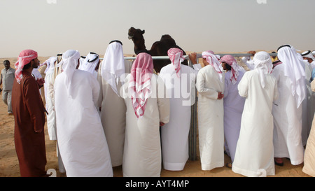 Männliche Zuschauer bei einem Kamelfest in der Wüste bei Madinat Zayed, Abu Dhabi, VAE. Stockfoto