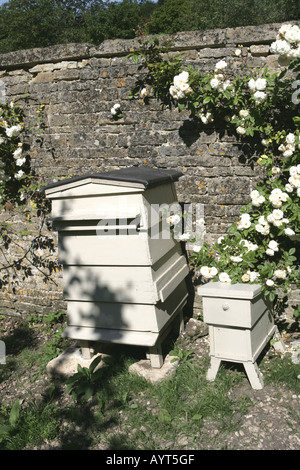 Die nationale Sammlung der Rambler-Rosen im Moor Holz Woodmancote Stockfoto