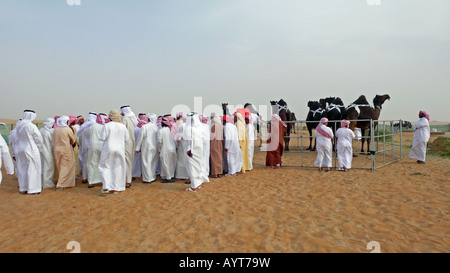 Zuschauer beim Kamelfest Mazayin Dhafra (Al Dhafra) in der Wüste bei Madinat Zayed (Zayed City), Abu Dhabi, VAE. Stockfoto